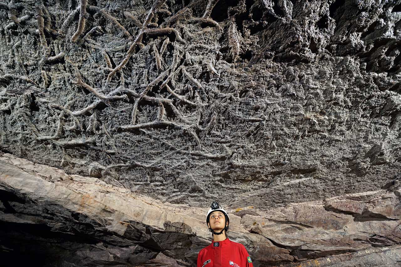 Icnofósseis no teto, Caverna Pobo Jari, Chapada dos Guimarães (foto: Victor Ferrer)