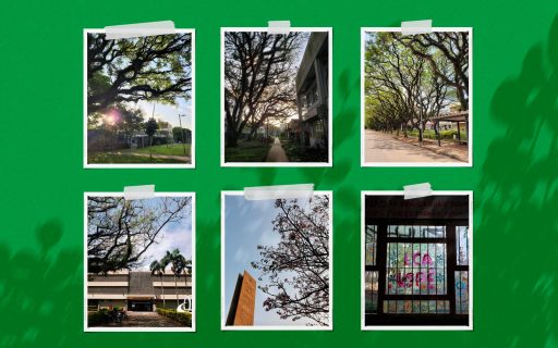 Crônica fotográfica de uma aluna de PP