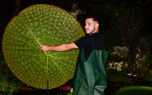 A ECA também é… Botânica